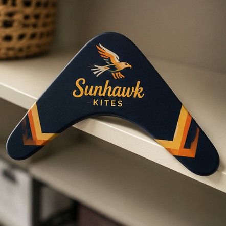 Branded promotional boomerangs